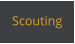 Scouting