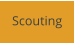 Scouting