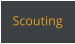 Scouting