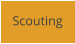 Scouting